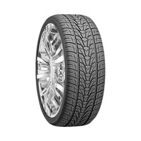295/35  R24  Nexen ROADIAN HP 110V XL (2022 г. в.)
